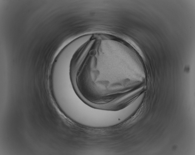 X0000097001101200803071111