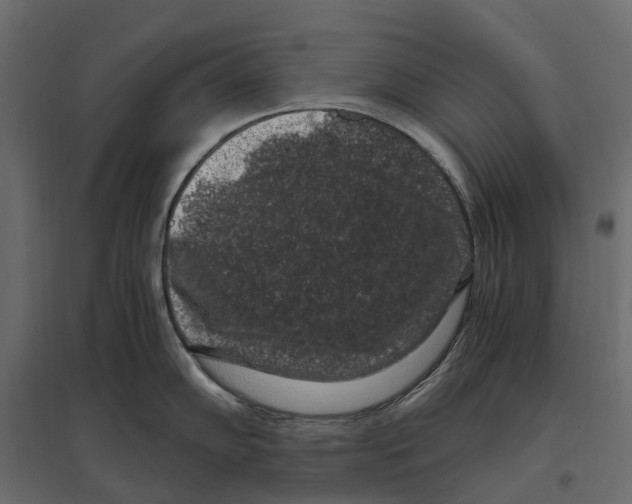 X0000097001102200803071111