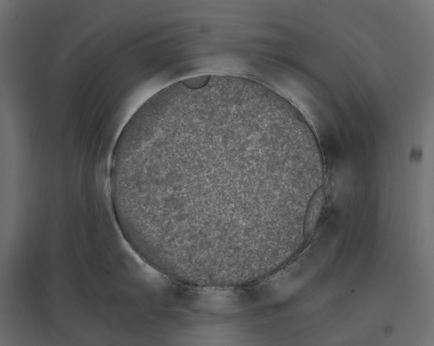 X0000097001103200803071111