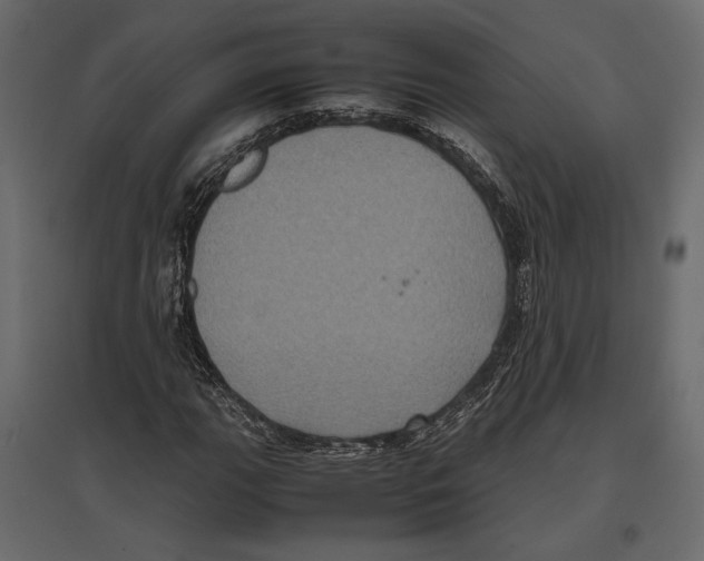 X0000097001111200803071110