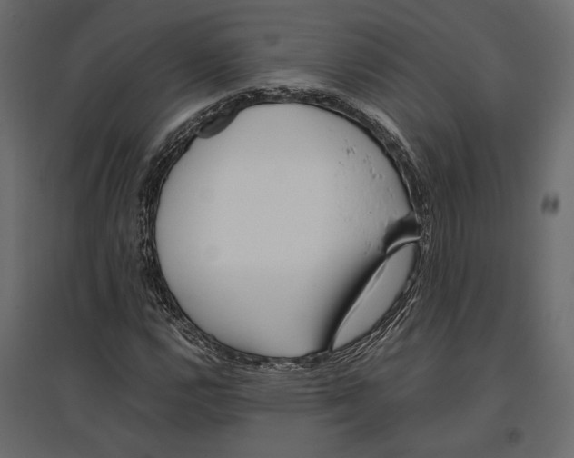 X0000097001112200803071110