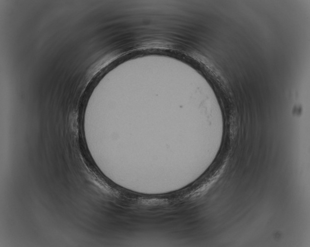 X0000097001113200803071110