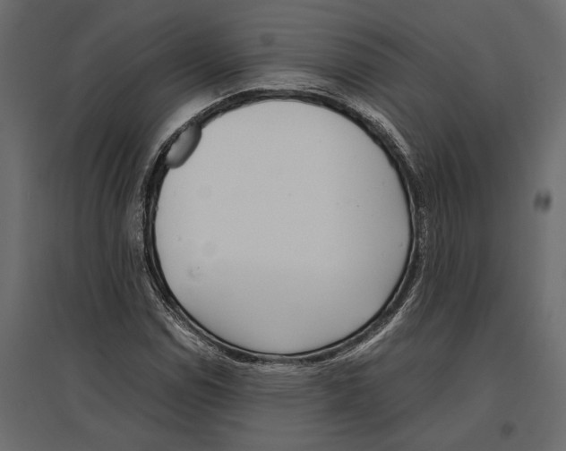 X0000097001114200803071110