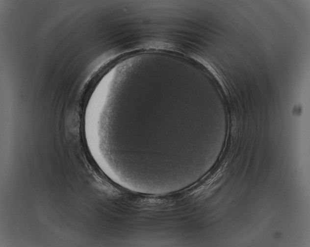 X0000097001115200803071110