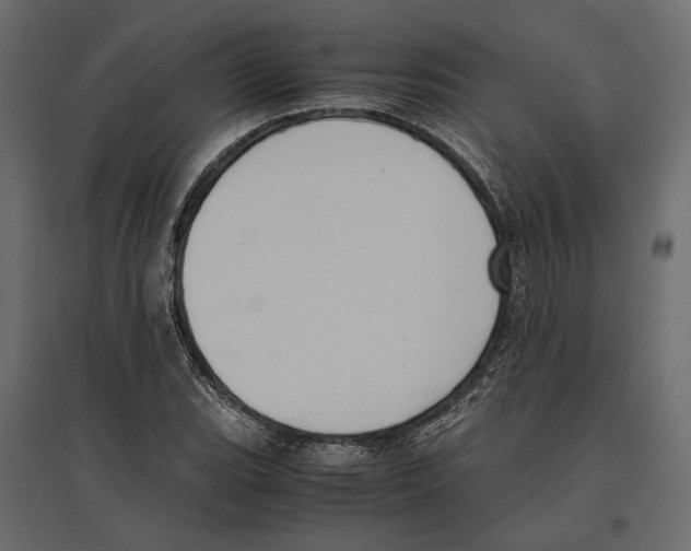 X0000097001119200803071111