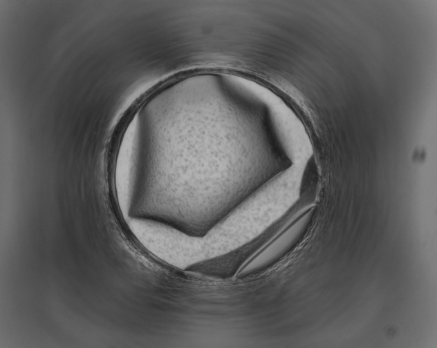 X0000097001120200803071111