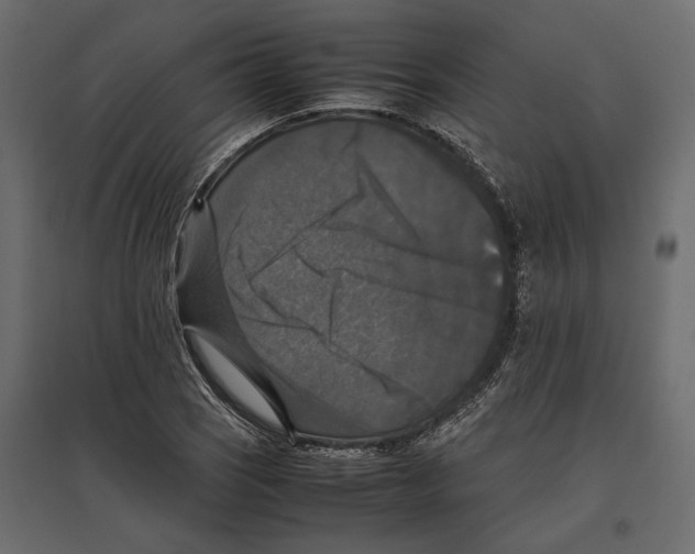 X0000097001121200803071111