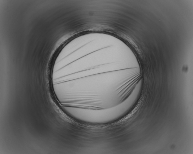 X0000097001122200803071111