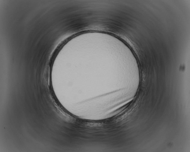 X0000097001123200803071111