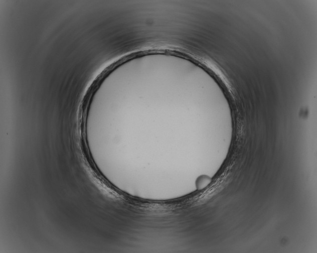 X0000097001124200803071111