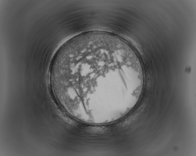 X0000097001125200803071111