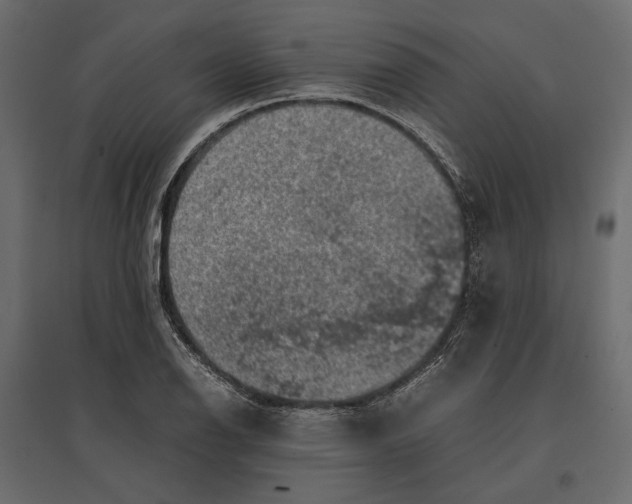 X0000097001126200803071111