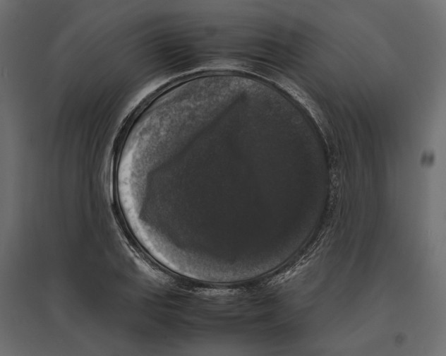 X0000097001127200803071111