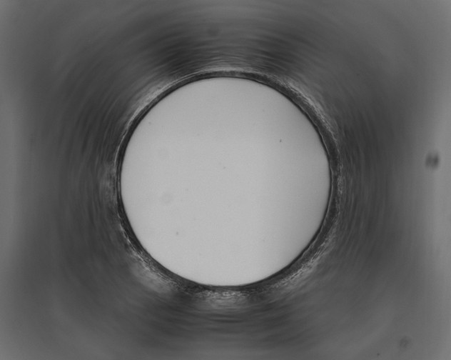 X0000097001129200803071111