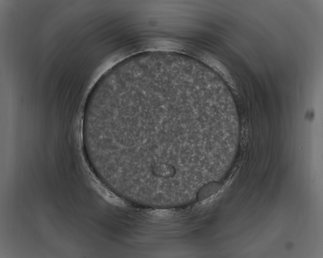 X0000097001130200803071111