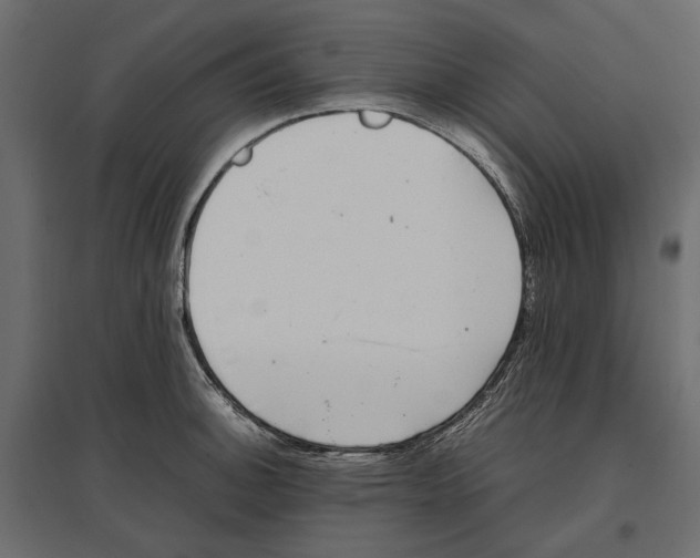 X0000097001140200803071111