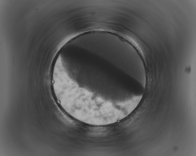 X0000097001141200803071111