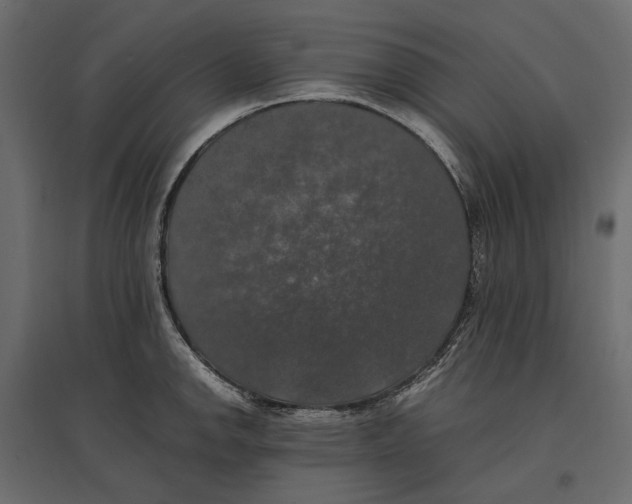 X0000097001142200803071111