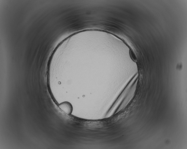 X0000097001143200803071111