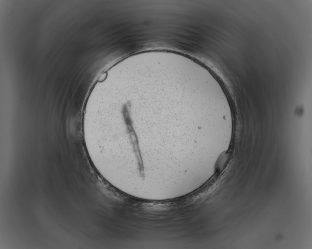 X0000097001145200803071111