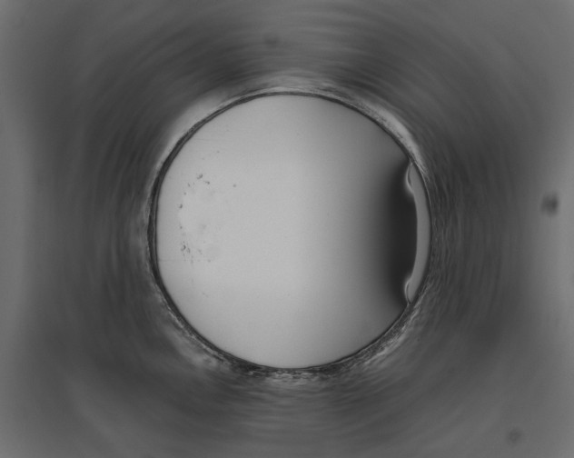 X0000097001146200803071111