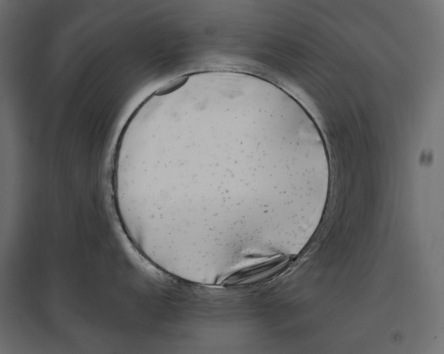 X0000097001152200803071111