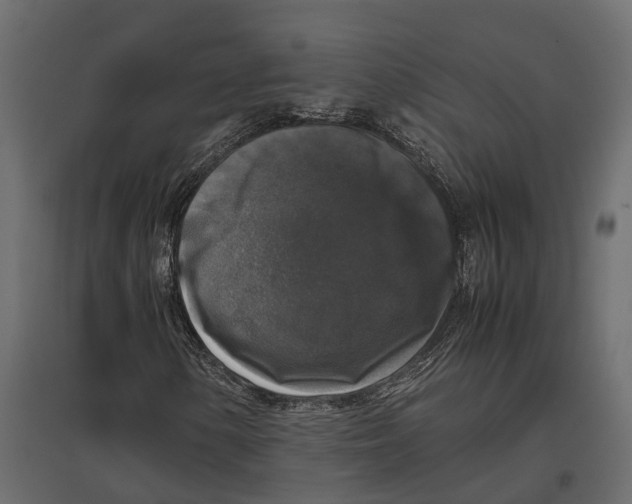 X0000097001154200803071110