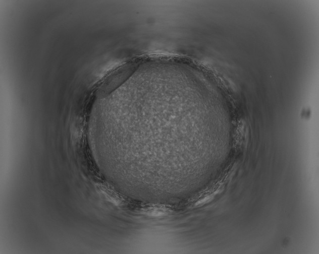 X0000097001157200803071110