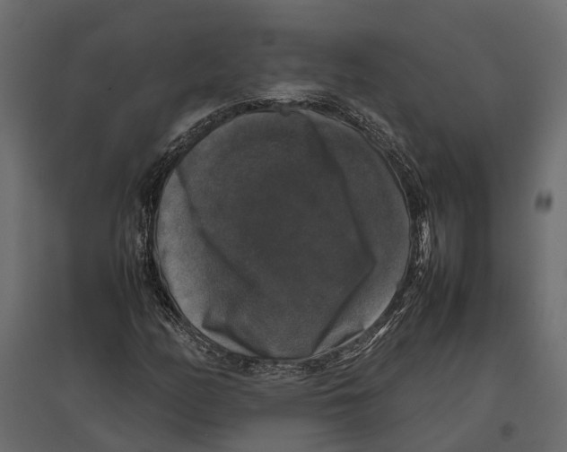 X0000097001158200803071110