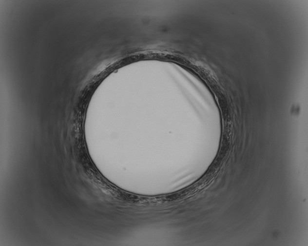 X0000097001159200803071110