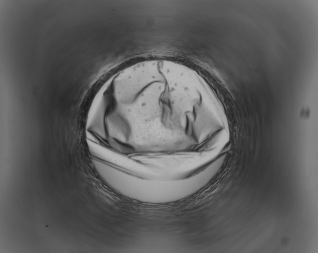 X0000097001160200803071110