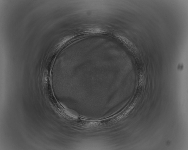 X0000097001161200803071110