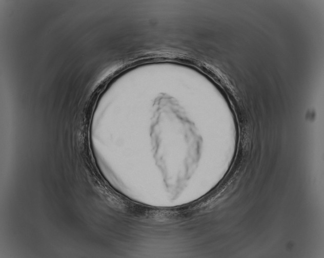 X0000097001163200803071110