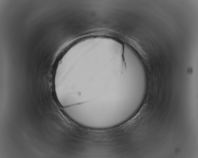 X0000097001164200803071110