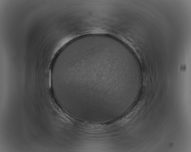 X0000097001171200803071110