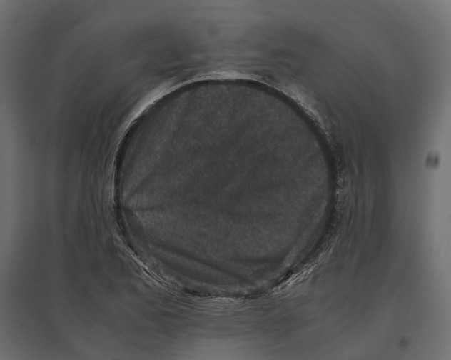 X0000097001173200803071110