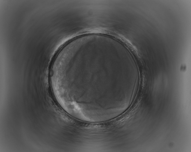 X0000097001174200803071110