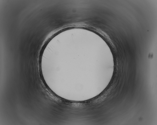 X0000097001176200803071110