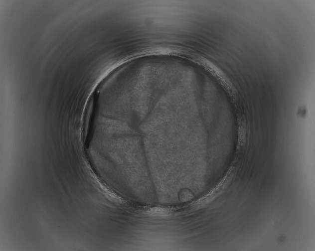 X0000097001178200803071110