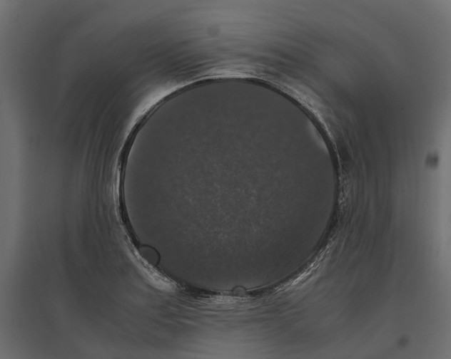 X0000097001179200803071110