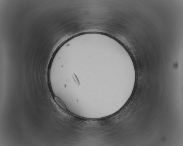 X0000097001181200803071110