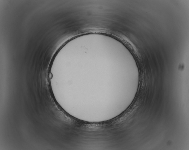 X0000097001182200803071110