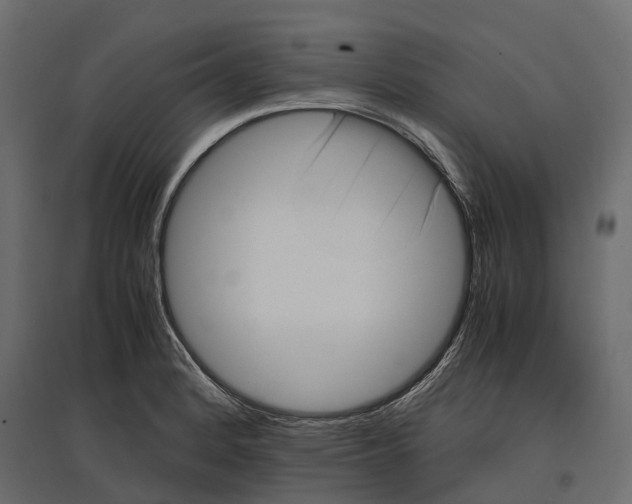 X0000097001184200803071110