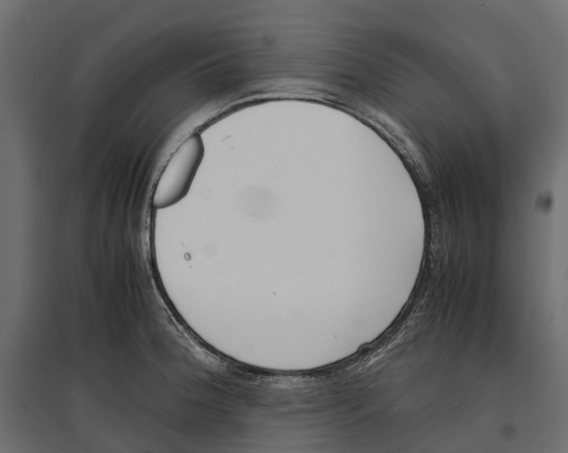 X0000097001188200803071110