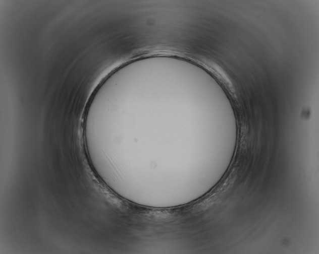 X0000097001190200803071110