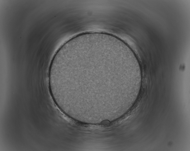 X0000097001191200803071110