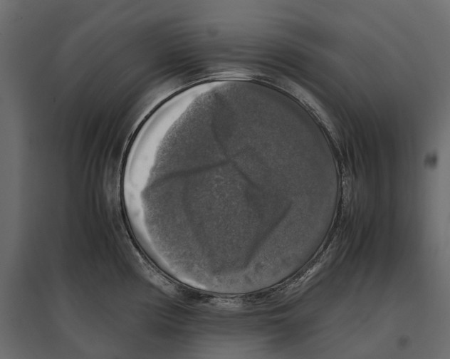 X0000097001194200803071110