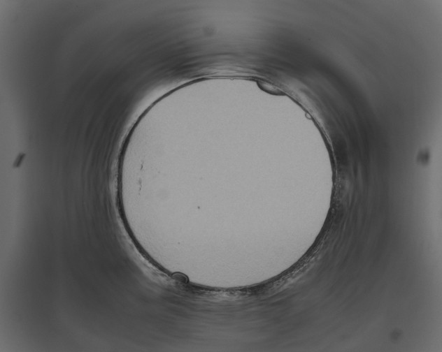 X0000097001195200803071110