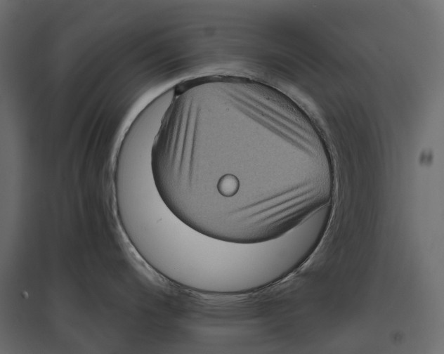 X0000097001200200803071110