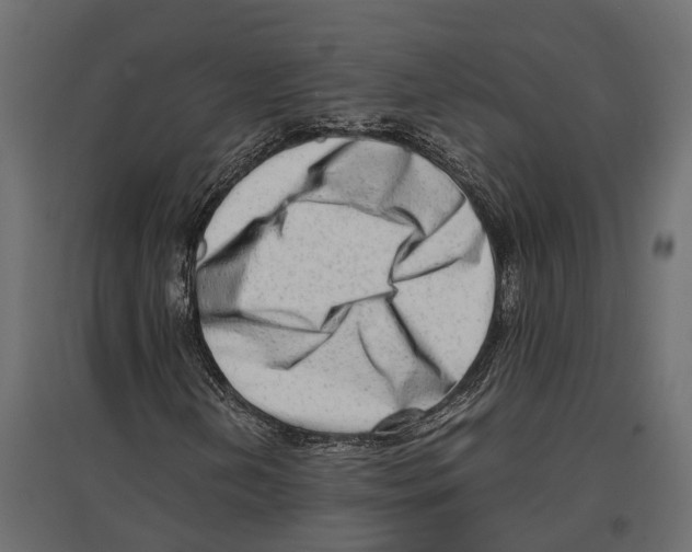 X0000097001202200803071109